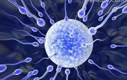 【攻略指南】如何联系去泰国做试管婴儿技术？