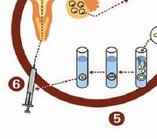 深圳地区有哪些私立的机构可以做试管技术？自己去泰国做试管婴儿流程分享