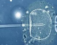 输卵管一侧切除调理后会有后遗症吗？