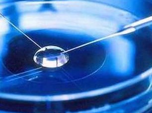 福州试管婴儿产检要去哪里？产检要注意什么？