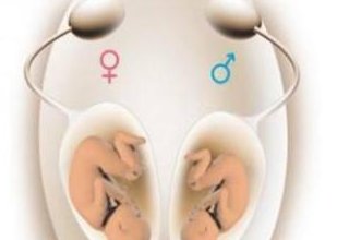 在江门做试管要满足哪些条件，江门试管的要求及时间安排